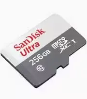 256 GB SD Card